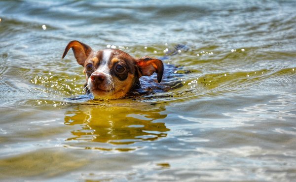 Quels sont les meilleurs conseils pour débuter dans la création de films documentaires culturels ?